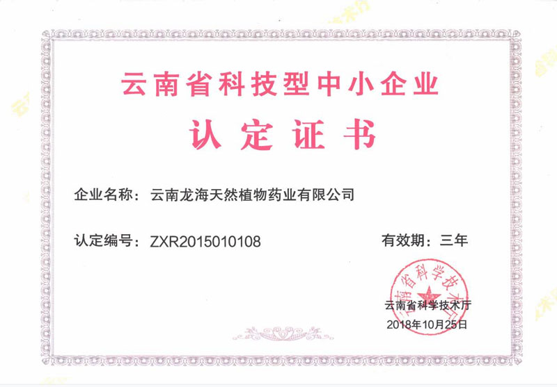 云南省科技型中小企業(yè)-認定書(shū)