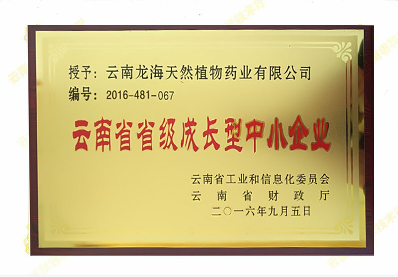 云南省省級成長(cháng)型中小企業(yè)